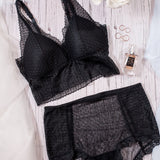 Panty Merak