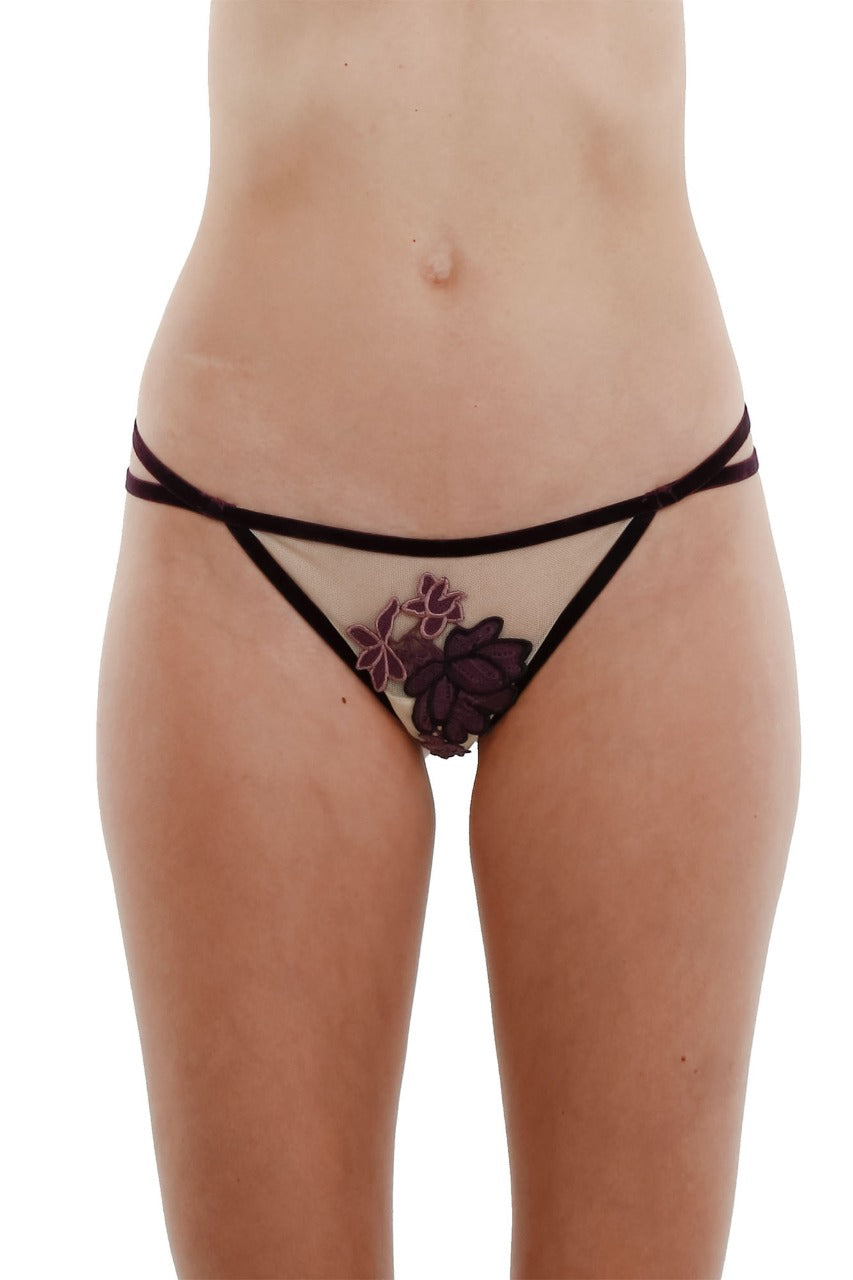 String Deluxe