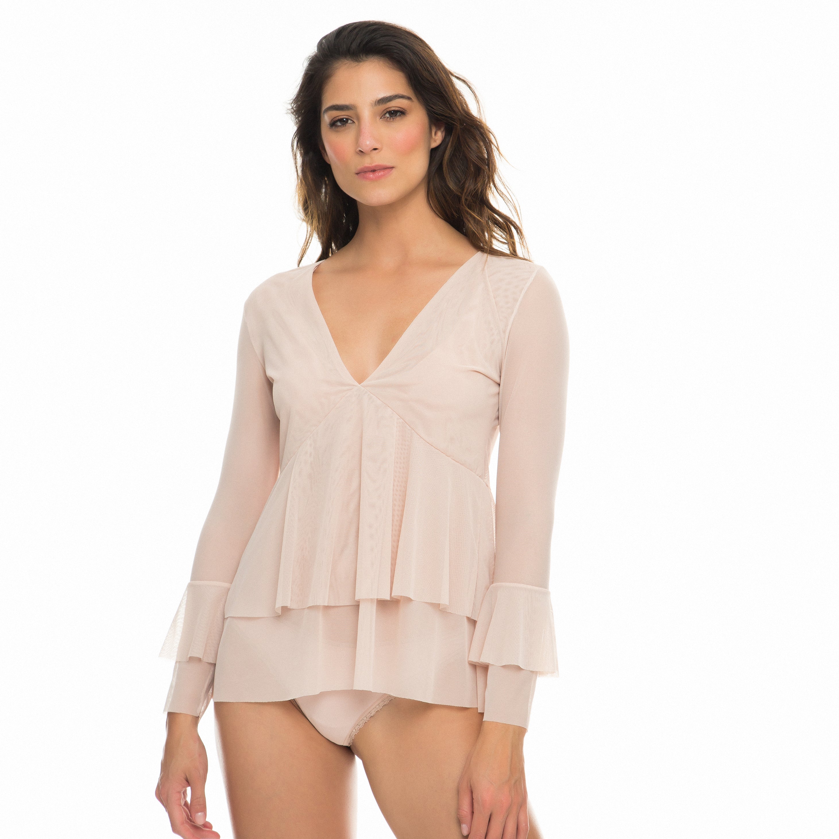 Sheer Ruffle Sleeve Blouse